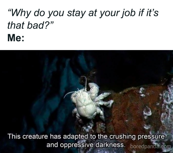 Meme showing a crustacean with caption about adapting to crushing pressure and oppressive darkness in casual nihilism.