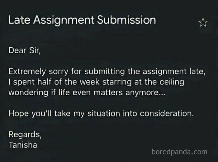 Text of a funny late assignment apology note reflecting casual nihilism and relatable meme humor about life's meaning.