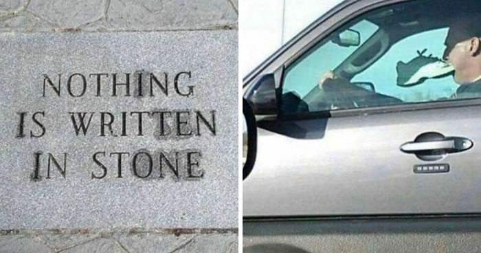 50 Random Photos For Those With A Unique Sense Of Humor (New Pics)