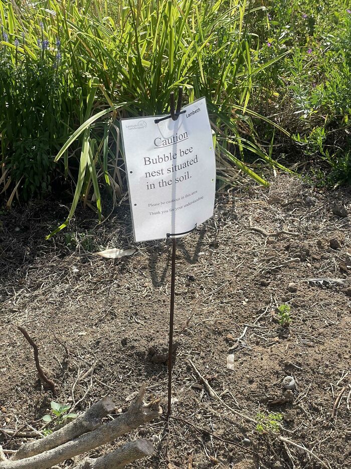 Sign with a typo warning about a bubble bee nest on soil, illustrating common typos that question intelligence.