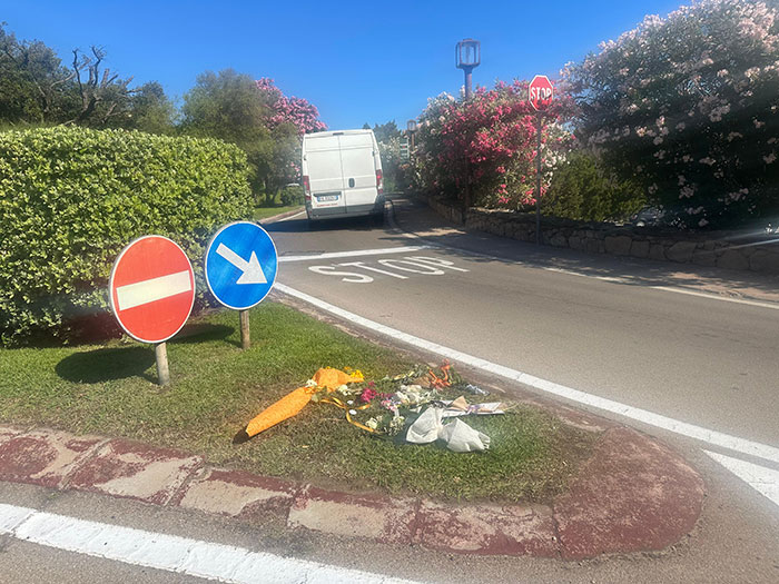 Memorial flowers placed at roadside where babysitter was fatally hit, family devastated after sudden passing.