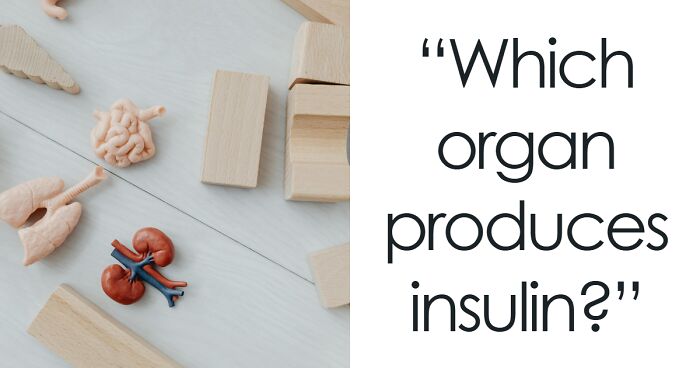 Find Out If You Can Challenge Your Inner Science Nerd And Get A 20/25 Score On This 25-Question Science Quiz