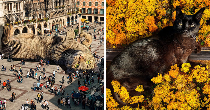 Artist Imagines Surreal Parallel Universe Where Giant Cats Reign, And Here Are 55 New Pieces