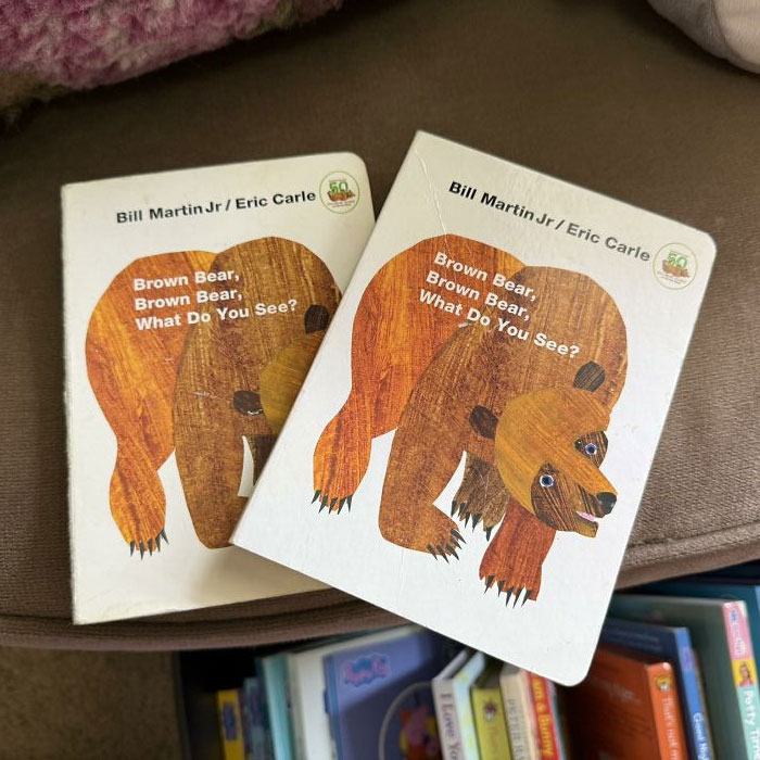 Two copies of Brown Bear, Brown Bear, What Do You See? book showing a real-life glitch in the matrix with mismatched covers.