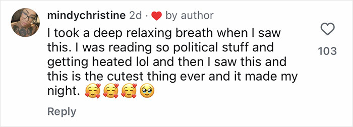 Comment praising a viral video of a golden retriever babysitting orphaned geese while they learn to fly, calling it the cutest thing. Comment praising a viral video of a golden retriever babysitting orphaned geese while they learn to fly, calling it the cutest thing.