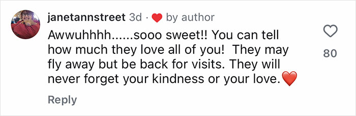 Golden Retriever gently caring for orphaned geese as they learn to fly in a heartwarming viral moment. Golden Retriever gently caring for orphaned geese as they learn to fly in a heartwarming viral moment.