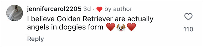 Comment praising a Golden Retriever for caring like angels while babysitting orphaned geese as they learn to fly. Comment praising a Golden Retriever for caring like angels while babysitting orphaned geese as they learn to fly.