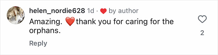 Comment on social media with username helen_nordie628 expressing gratitude for caring for orphaned animals with a red heart emoji. Comment on social media with username helen_nordie628 expressing gratitude for caring for orphaned animals with a red heart emoji.