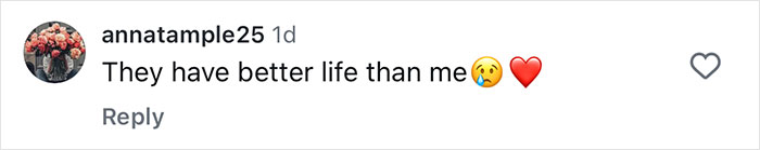 Comment on social media post expressing envy with crying and heart emojis. Comment on social media post expressing envy with crying and heart emojis.
