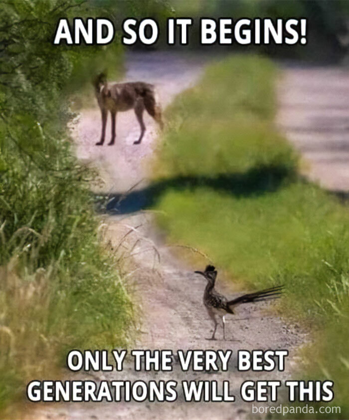 A roadrunner on a dirt path facing a coyote with text referencing good old days and 1980s generations.