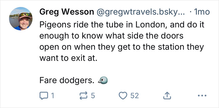 California gull hitching an 80-mile ride on a garbage truck, repeating the journey two days later. - 7