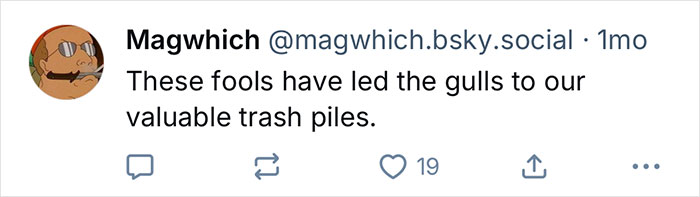 Tweet about gulls being led to valuable trash piles, relating to California Gull behavior around garbage trucks. - 11