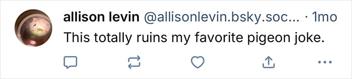 Screenshot of a tweet by allison levin about a joke involving a pigeon, referencing California gull behavior. - 20