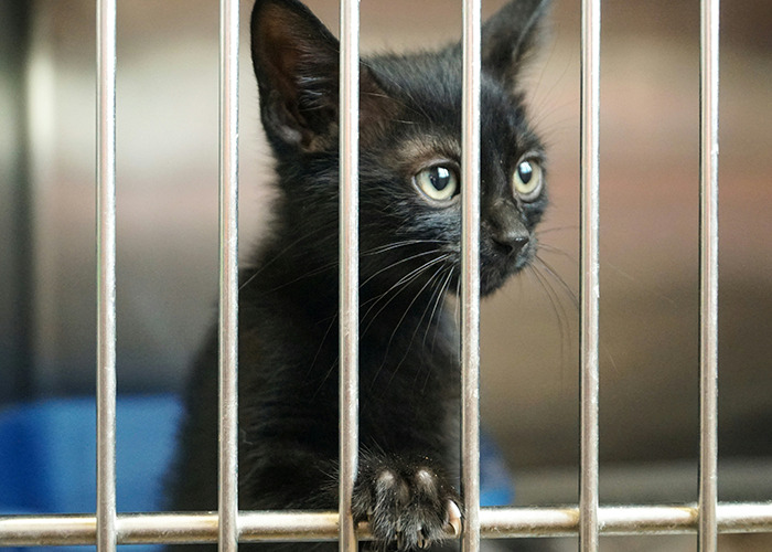 People Are Sharing What Decisions Reduced Their Life Quality, And It's Eye-Opening (50 Answers)