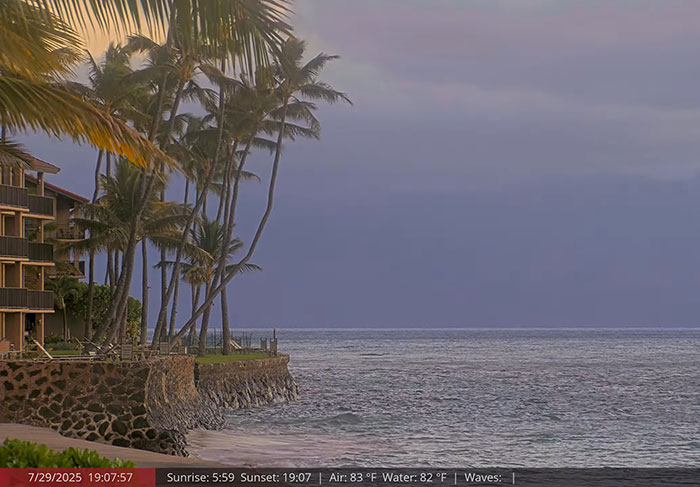 Coastal ocean view at sunset near private road lined with palm trees, related to Oprah tsunami escape controversy. - 9