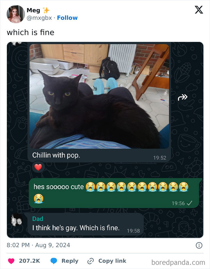 Black cat lying on dad's lap with humorous text exchange, showcasing hilarious dads nailing fatherhood moments.