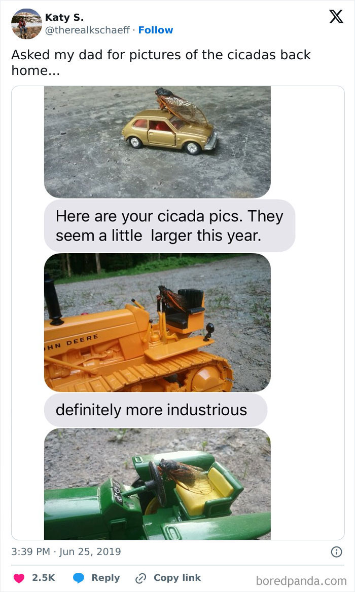 Dad humor showing cicadas on toy vehicles, highlighting hilarious dads who nail fatherhood with creativity and fun.