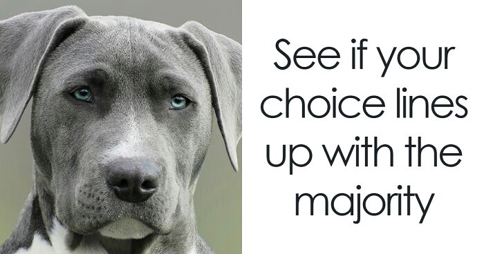 This Poll Is All About First Impressions: 20 Images & You Have To Match A Face To A Name – No Wrong Answers