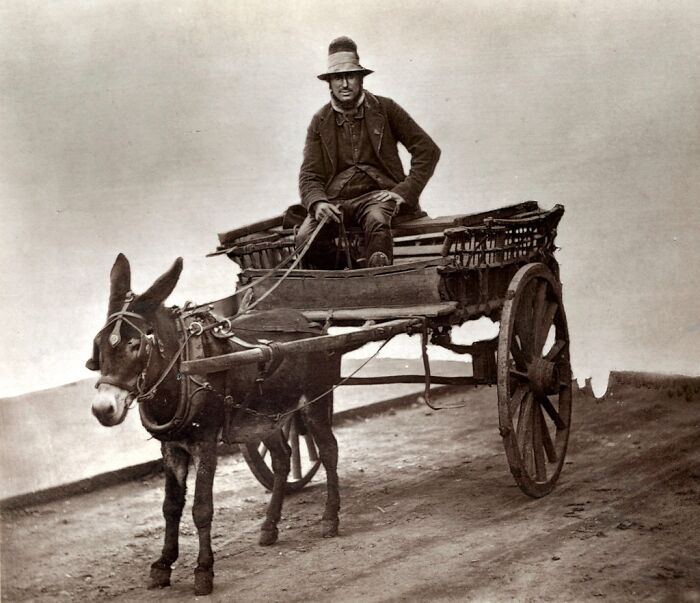 Man in worn clothes sitting on a donkey cart, illustrating how London's poorest really lived in the 1800s