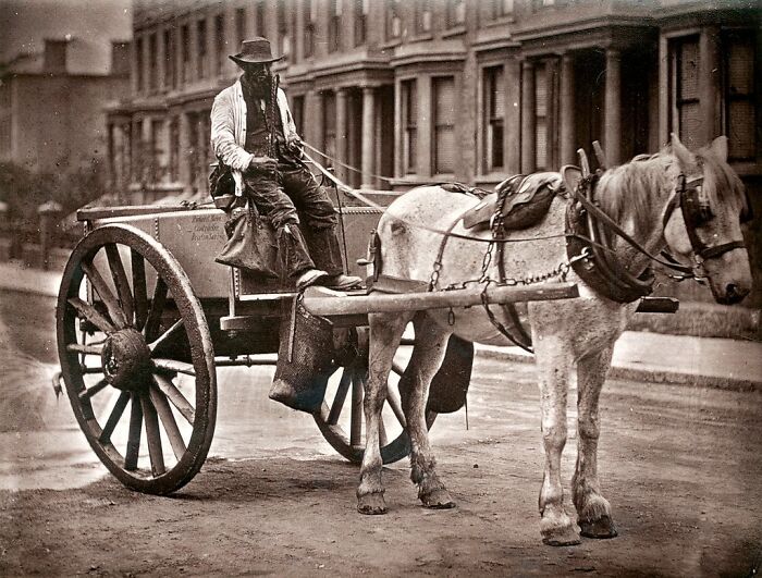 Man riding a horse-drawn cart on a London street, illustrating how London's poorest lived in the 1800s.