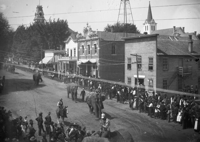 Crowd gathers along dirt street in 1800s America town as elephants and riders pass in historic scene.