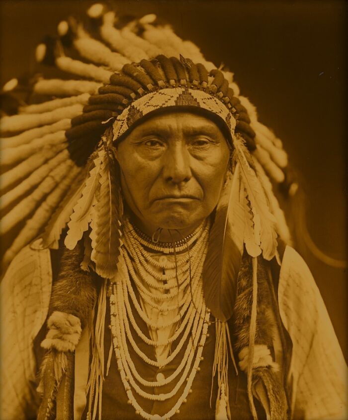 Native American elder wearing traditional feathered headdress and bead necklaces in powerful Edward S. Curtis photo.