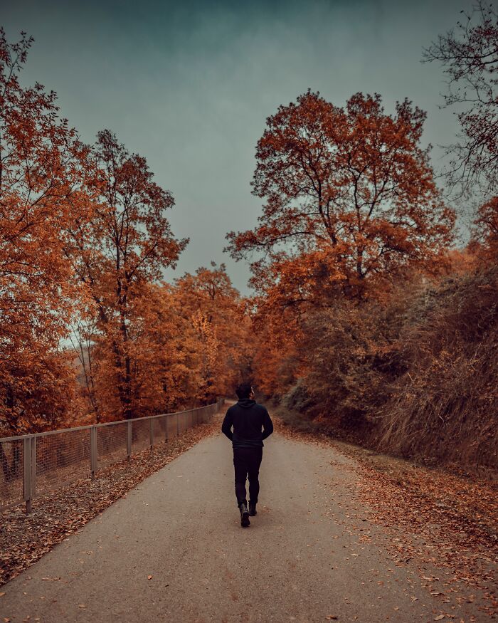 Person walking alone on a path surrounded by autumn trees, reflecting on Singapore experienced mass panic over shrinking genitals.