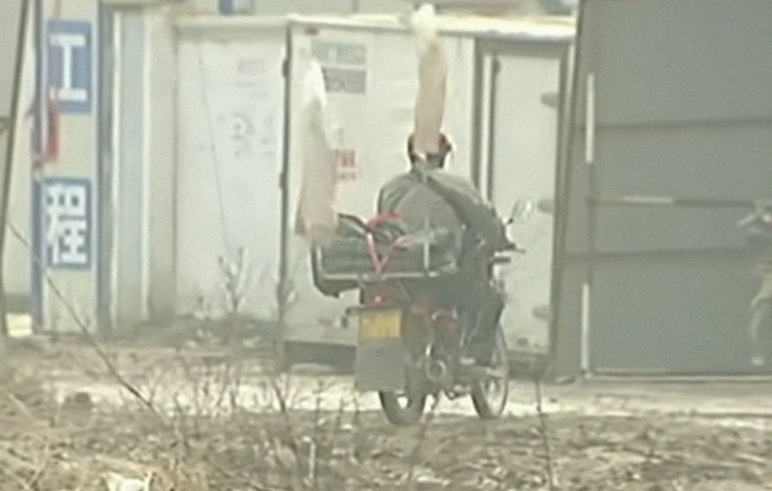 Person riding a motorcycle carrying large items on the back in a dusty outdoor area, showing a cool fact about the world.