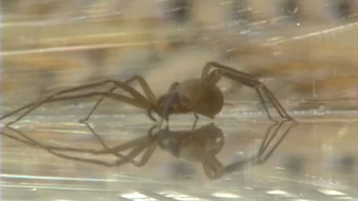 50 Unusual And Cool Facts About The World People Just Learned This June