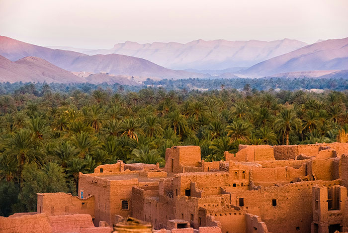 Ancient desert village ruins surrounded by dense palm trees with mountains in the background showing cool facts about the world.