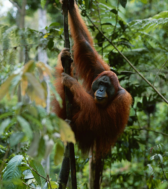 50 Unusual And Cool Facts About The World People Just Learned This June