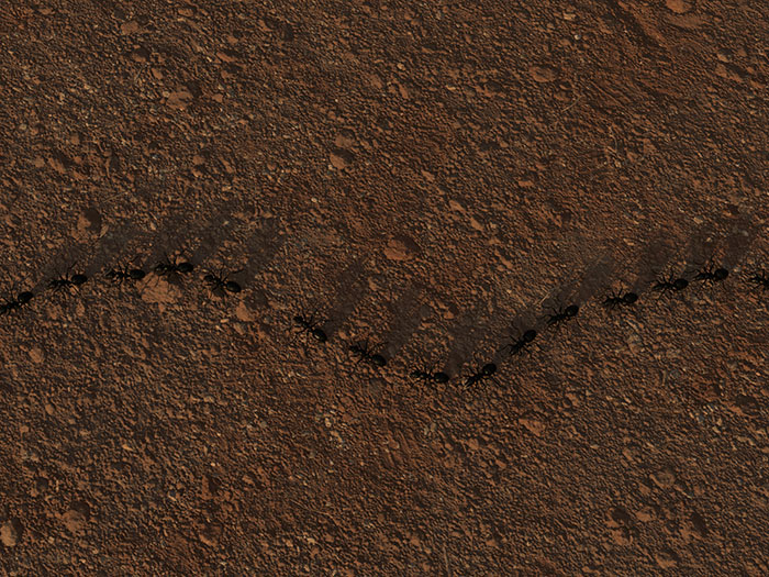 50 Unusual And Cool Facts About The World People Just Learned This June