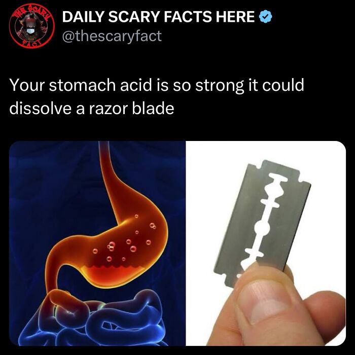 Tweet about stomach acid strength with illustration of digestive system and hand holding a razor blade showing scary facts to scroll through in darkness.