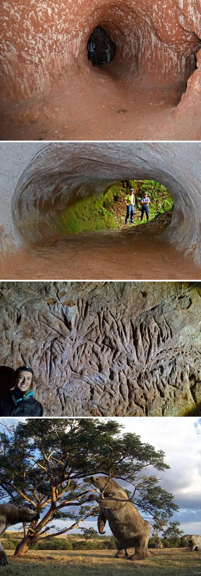 Ancient caves and prehistoric creatures showing unusual and cool world facts for interesting knowledge.