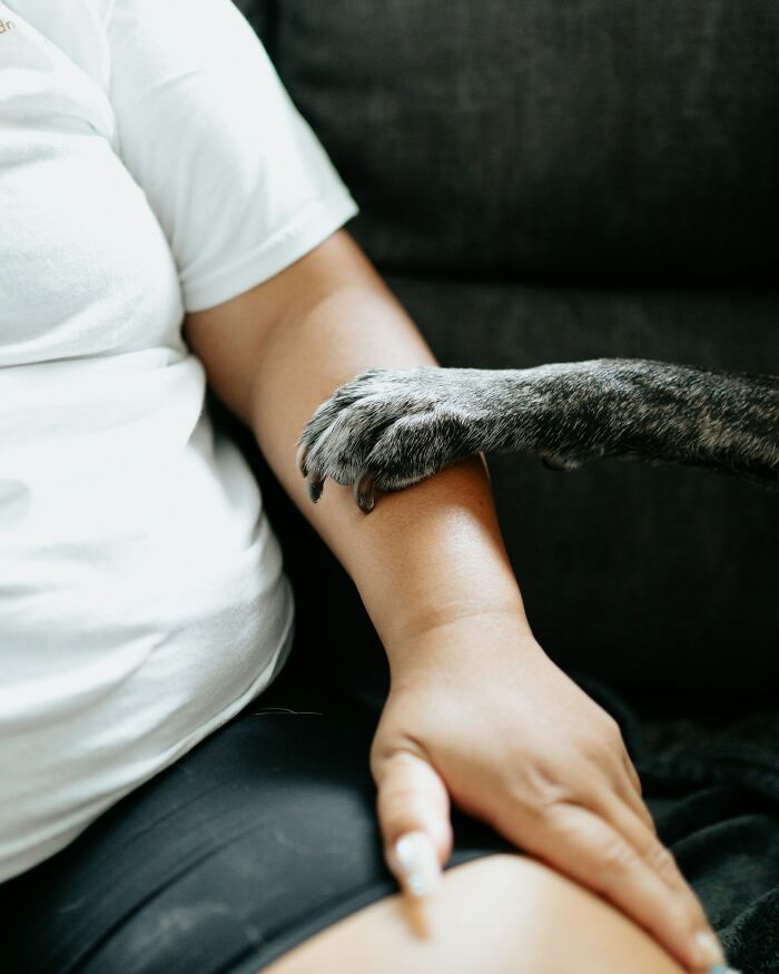 Close-up of a dog’s paw touching a person’s arm, illustrating mysterious body quirks people can’t find answers for.