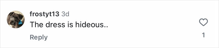 Comment on social media reading The dress is hideous by user frostyt13 with a dog profile picture, related to Jewel 51 makeover backlash.