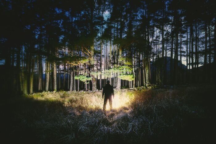 Person standing in dark forest at night with flashlight, evoking creepy real things witnessed or heard about.