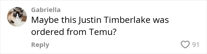 Comment on Justin Timberlake&rsquo;s embarrassing Romania show with a cat profile picture and 91 likes.