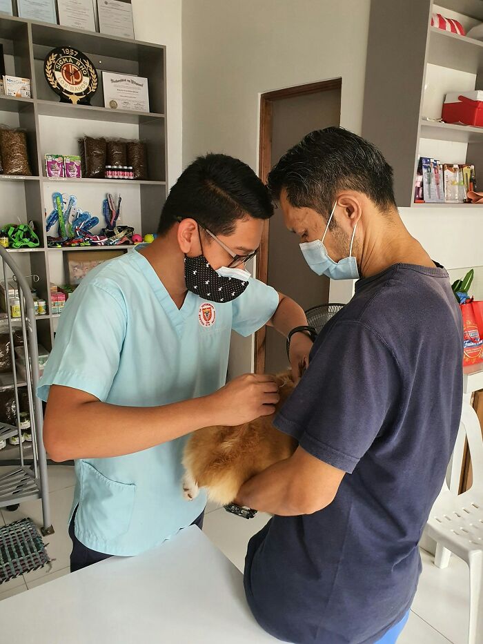 Cliente y veterinario con mascarillas atendiendo a perro en clínica, revelando secretos que empresas ocultan a clientes.