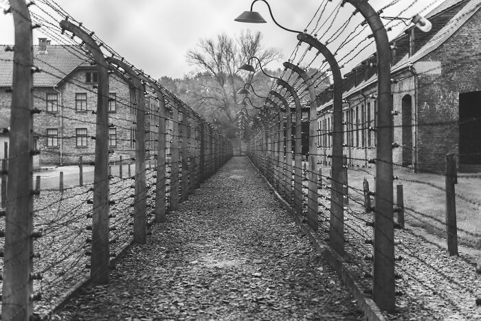 Black and white image of a barbed wire fence corridor between old brick buildings illustrating interesting rumors that turned out true.