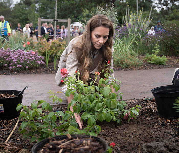Kate Middleton gardening outdoors, focused on planting flowers, reflecting on cancer confession and royal fans' reaction.
