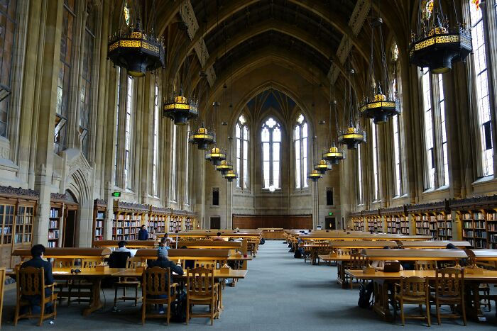 Large historic library with high arched ceilings and people reading, illustrating debunked lies people believe about learning.