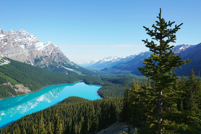 Scenic mountain landscape with turquoise lake and evergreen trees illustrating bizarre facts about countries worldwide.