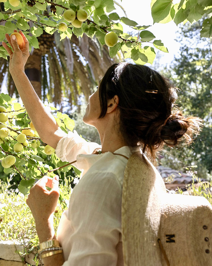 Woman picking fruit from a tree in bright sunlight, related to Meghan Markle fruit-picking photo accusations.