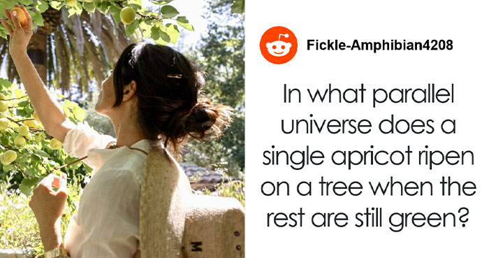 “How Far She’s Fallen”: Meghan Markle’s Fruit-Picking Photo Ripped Apart By Netizens