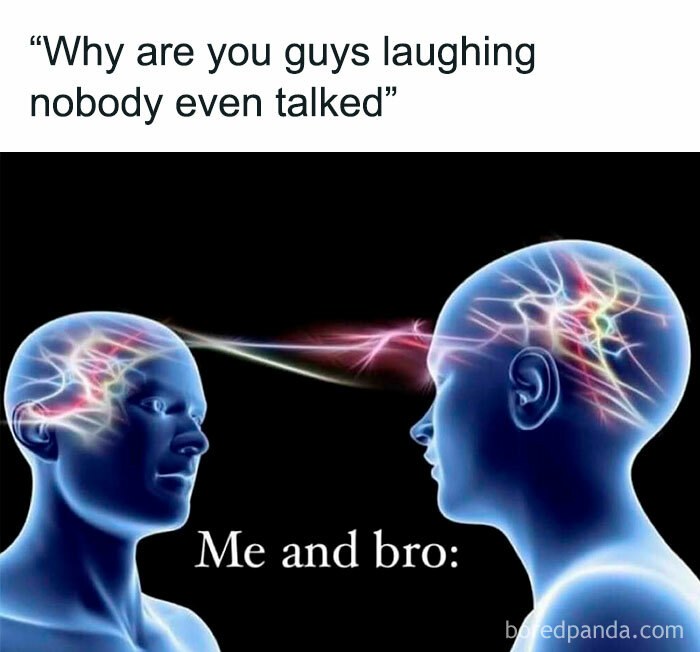 Two glowing heads connected by colorful neural energy, representing chaotic memes and shared unspoken laughter.