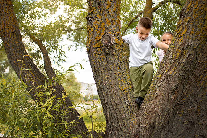 Two children climbing a large tree outdoors surrounded by greenery, depicting an innocent moment unrelated to morticians.
