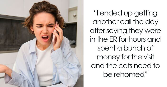 “Cats Are Staying”: Woman Refuses To Rehome Cats Because Of Ex’s New Wife’s Allergies