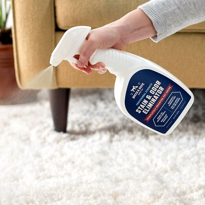 Hand spraying stain and odor eliminator on carpet near sofa to achieve a clean regularly vibe.