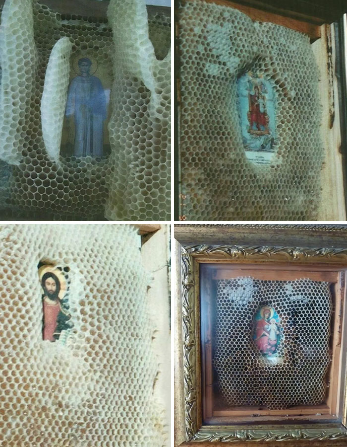 Beehives with religious icons mysteriously preserved inside honeycomb cells, an interesting mystery that still baffles people today.